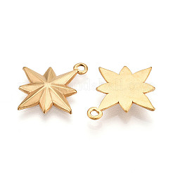 304 Stainless Steel Pendants&nbsp;STAS-N109-103G