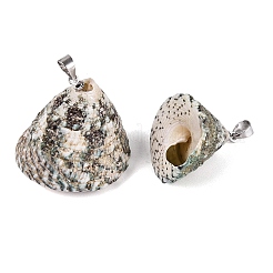 Brass & Natural Spiral Shell Pendants&nbsp;SHEL-Q029-25P