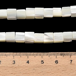 Natural Trochid Shell/Trochus Shell Beads Strands&nbsp;SHEL-C010-05A