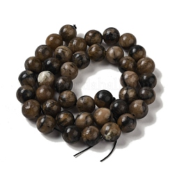 Natural Chiastolite Beads Strands&nbsp;G-Q161-A03-04