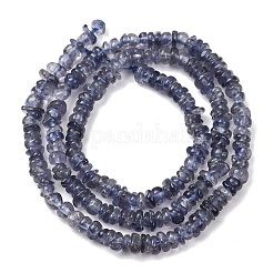 Natural Iolite Beads Strands&nbsp;G-K427-C01-01