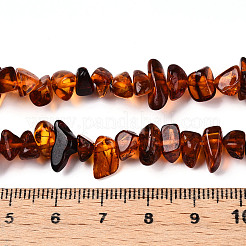 Natural Amber Beads Strands&nbsp;G-T138-235D