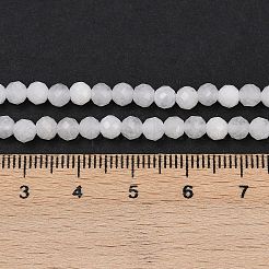 Natural Rainbow Moonstone Beads Strands&nbsp;G-F798-A04-02