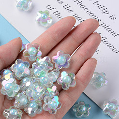 Transparent Acrylic Beads&nbsp;TACR-S152-09B-10