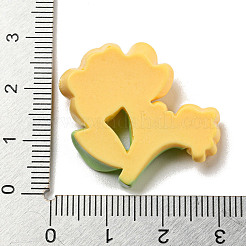 Opaque Resin Decoden Cabochons&nbsp;RESI-B022-02F