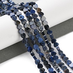 Natural Sodalite Beads Strands&nbsp;G-M403-A08-01