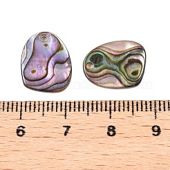 Natural Paua Shell Nuggets Charms&nbsp;SHEL-T020-11B