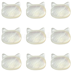 5Pcs Natural White Shell Beads&nbsp;BSHE-CJ0001-07