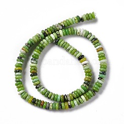 Natural Serpentine Jade Beads Strands&nbsp;G-F727-01