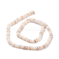 Natural Freshwater Shell Beads Strands&nbsp;X-SHEL-G011-09-A02