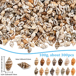 100g Natural Shell Beads&nbsp;BSHE-LT0001-04