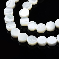 Natural Trochid Shell/Trochus Shell Beads Strands&nbsp;SSHEL-S266-002