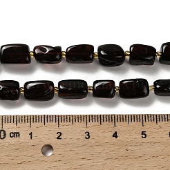 Natural Amber Beads Strands&nbsp;G-L095-H01-01