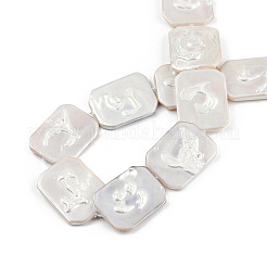 Plating Natural Freshwater Shell Beads Strands&nbsp;SHEL-N026-223
