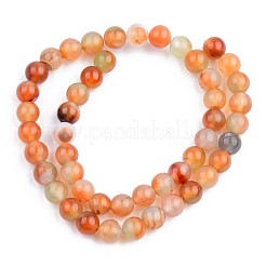 Natural Red Agate Beads Strands&nbsp;G-S359-136