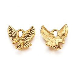 Tibetan Style Alloy Pendants&nbsp;TIBEP-20305-AG-NR