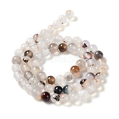 Natural Dendritic Agate Beads Strands&nbsp;G-D845-04-6mm
