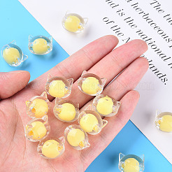 Transparent Acrylic Beads&nbsp;X1-MACR-S373-115-B05