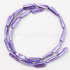 Spray Painted Natural Freshwater Shell Beads Strands&nbsp;SHEL-S276-90C