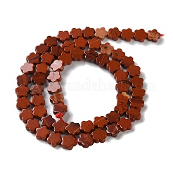 Natural Red Jasper Beads Strands&nbsp;G-B138-C06-01