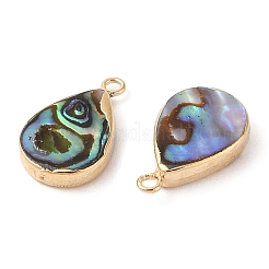 Natural Paua Shell Pendants&nbsp;SHEL-P017-14G