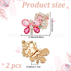 2Pcs Alloy Rhinestone Detachable Shoe Buckle Clips&nbsp;FIND-AR0004-59