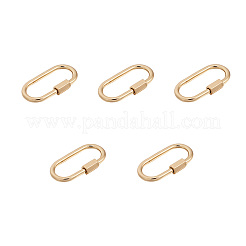 Brass Screw Carabiner Lock Charms&nbsp;ZIRC-E164-12G