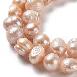 Natural Cultured Freshwater Pearl Beads Strands&nbsp;PEAR-E019-18