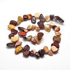 Natural Mookaite Chip Bead Strands&nbsp;G-M204-50