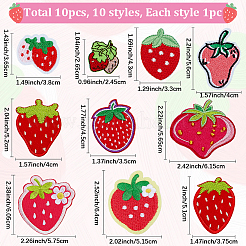 10Pcs 10 Styles Strawberry Polyester Embroidery Cloth Sew on Appliques&nbsp;PATC-CP0001-08B