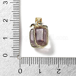Natural Amethyst Gift Box Charms&nbsp;G-P523-01G-05