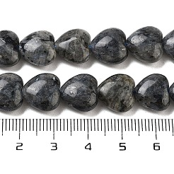 Natural Larvikite Beads Strands&nbsp;G-B022-28C
