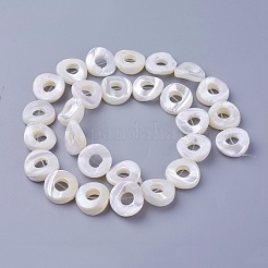 Shell Beads Strands&nbsp;SSHEL-E571-24