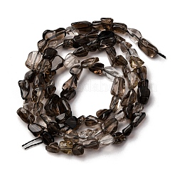 Natural Smoky Quartz Beads Strands&nbsp;G-I389-A31-01B