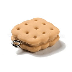 Opaque Resin Pendants&nbsp;LS-X-RESI-G043-D02-A