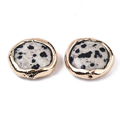 Natural Dalmatian Jasper Beads&nbsp;G-S359-112