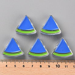 Transparent Enamel Acrylic Beads&nbsp;LS-TACR-S155-001K