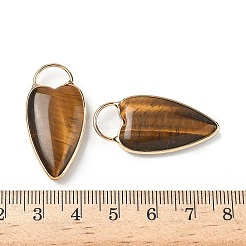 Natural Tiger Eye Pendants&nbsp;G-I393-01G-06