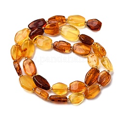 Gradient Color Natural Amber Beads Strands&nbsp;G-F803-E01-01