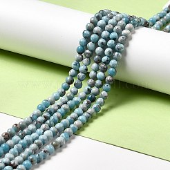 Natural Gemstone Beads Strands&nbsp;G-F730-02A