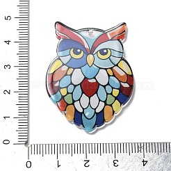 Acrylic Pendants&nbsp;OACR-I016-02F