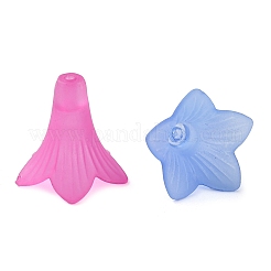 Transparent Acrylic Beads&nbsp;FACR-Q009-15