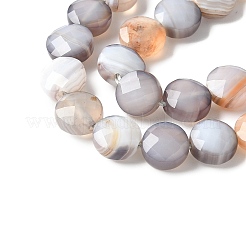 Natural Grey Botswana Agate Beads Strands&nbsp;G-C179-A50-03