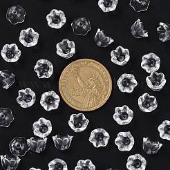 Transparent Clear Acrylic Beads&nbsp;PL548-1
