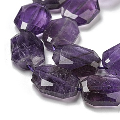 Natural Amethyst Beads Strands&nbsp;G-P544-B06-01