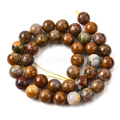 Natural African Opal Beads Strands&nbsp;G-S390-06-10mm