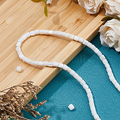 2 Strands Natural Freshwater Shell Beads Strands&nbsp;SHEL-HS0001-06