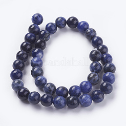 Natural Sodalite Beads Strands&nbsp;G-G448-10mm-25