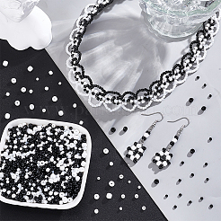 6 Styles Glass Seed Beads&nbsp;SEED-PH0002-59