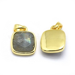 Natural Labradorite Pendants&nbsp;G-O176K-09G
